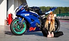 Екатерина Колпакова: «Мотоспорт соединяет мою любовь к езде на мотоцикле и страсть к самопрокачке»