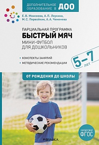 Парциальная программа "Быстрый мяч". Мини-футбол для дошкольников 5-7 лет