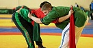 В Москве пройдет фестиваль неолимпийских и национальных видов борьбы народов России